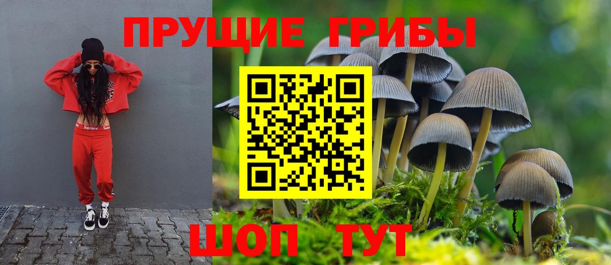 Галлюциногенные грибы ЛСД Омск